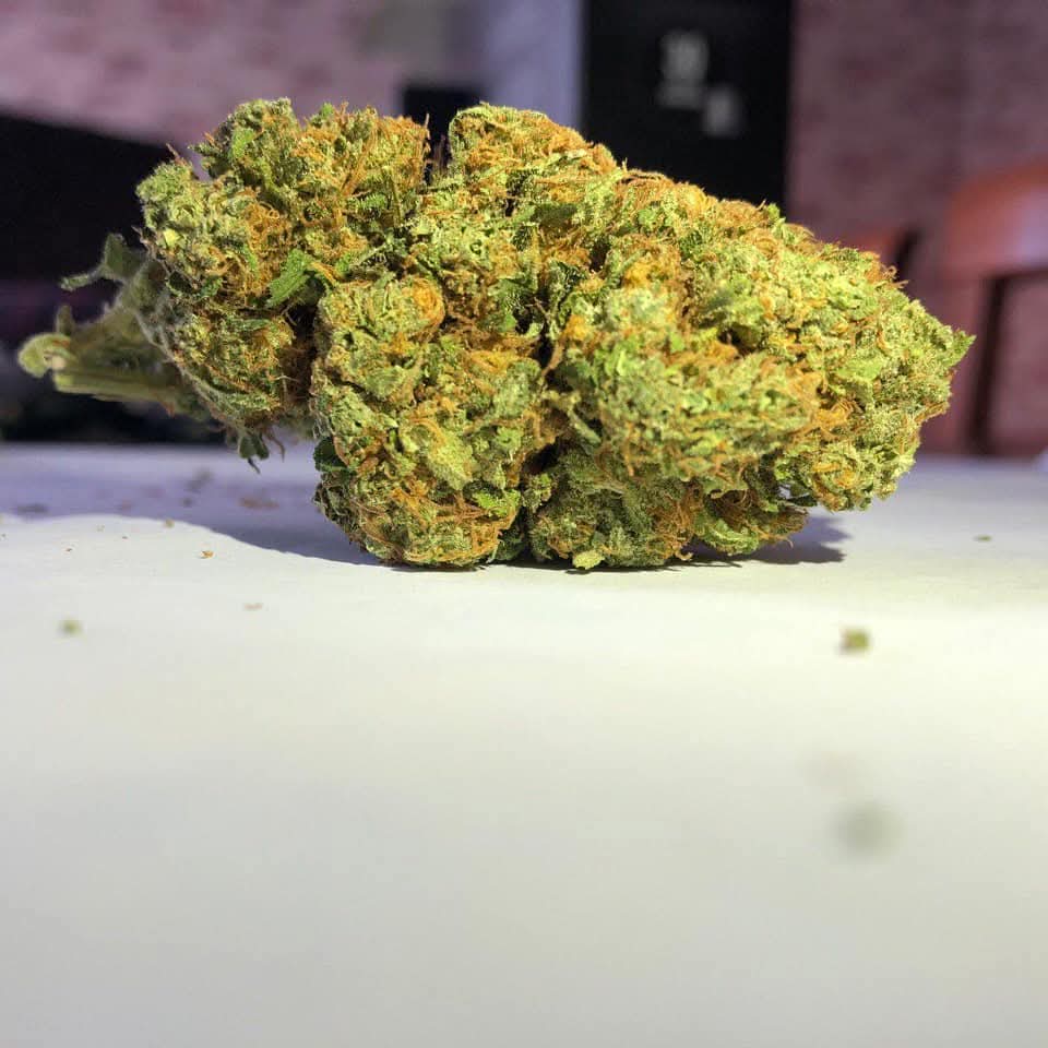Flor CBD Amnesia - Itália
