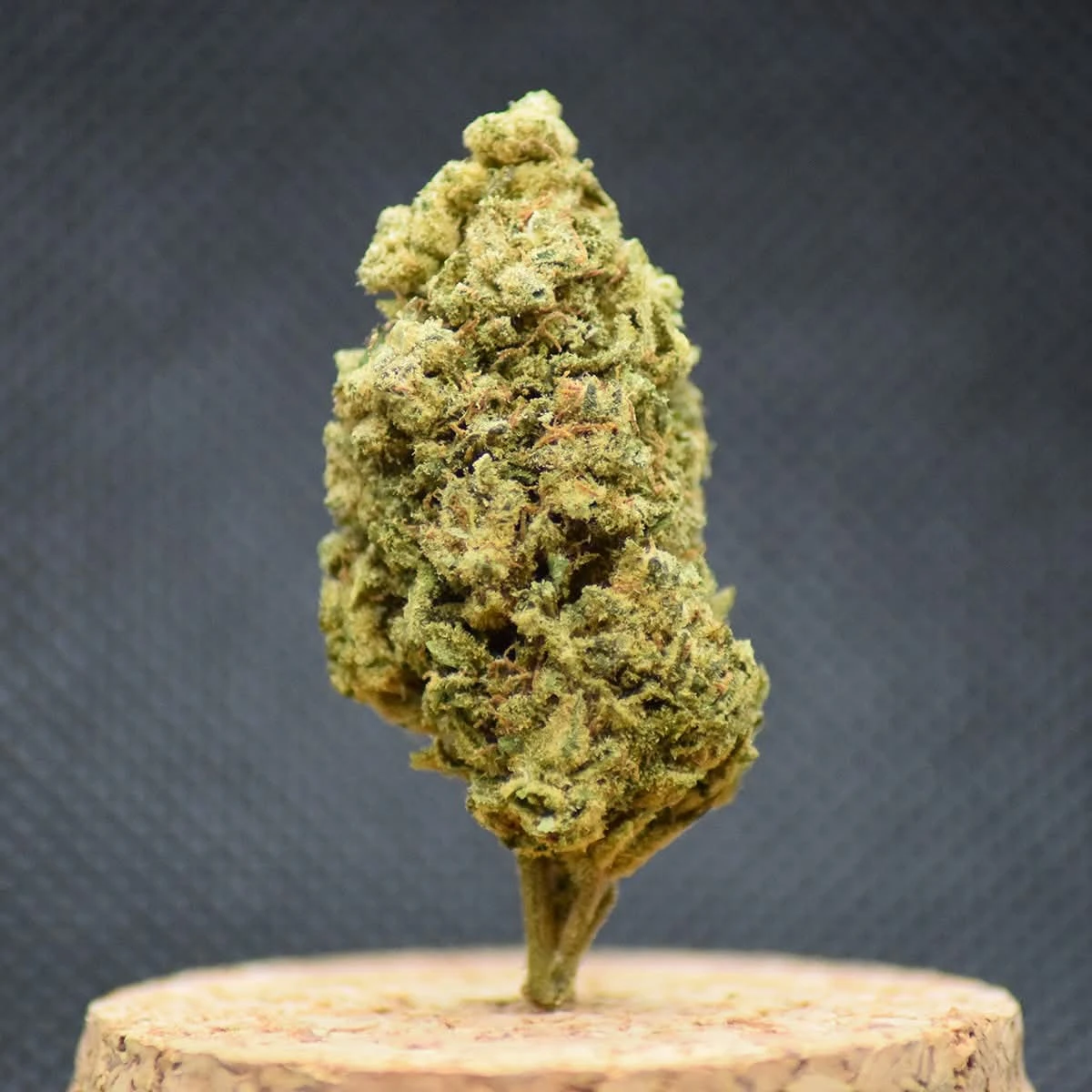Flor CBD Cali Dream - Itália