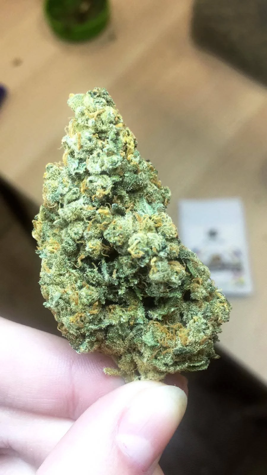 Flor CBD Gelato - Itália