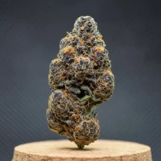 Gorilla Glue CBD – Flor premium. Potência e sabor intenso