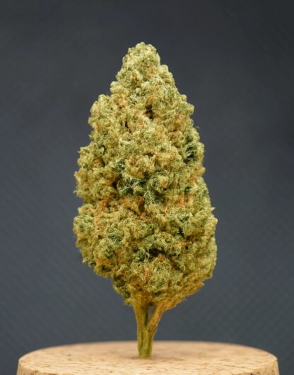 🌿 AK47CBD – Flor de CBD Premium, Potente e Relaxante