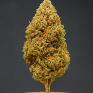 Orange Cookies CBD – Flor premium. Aroma cítrico e efeito relaxante