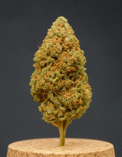 Orange Cookies CBD – Flor premium. Aroma cítrico e efeito relaxante